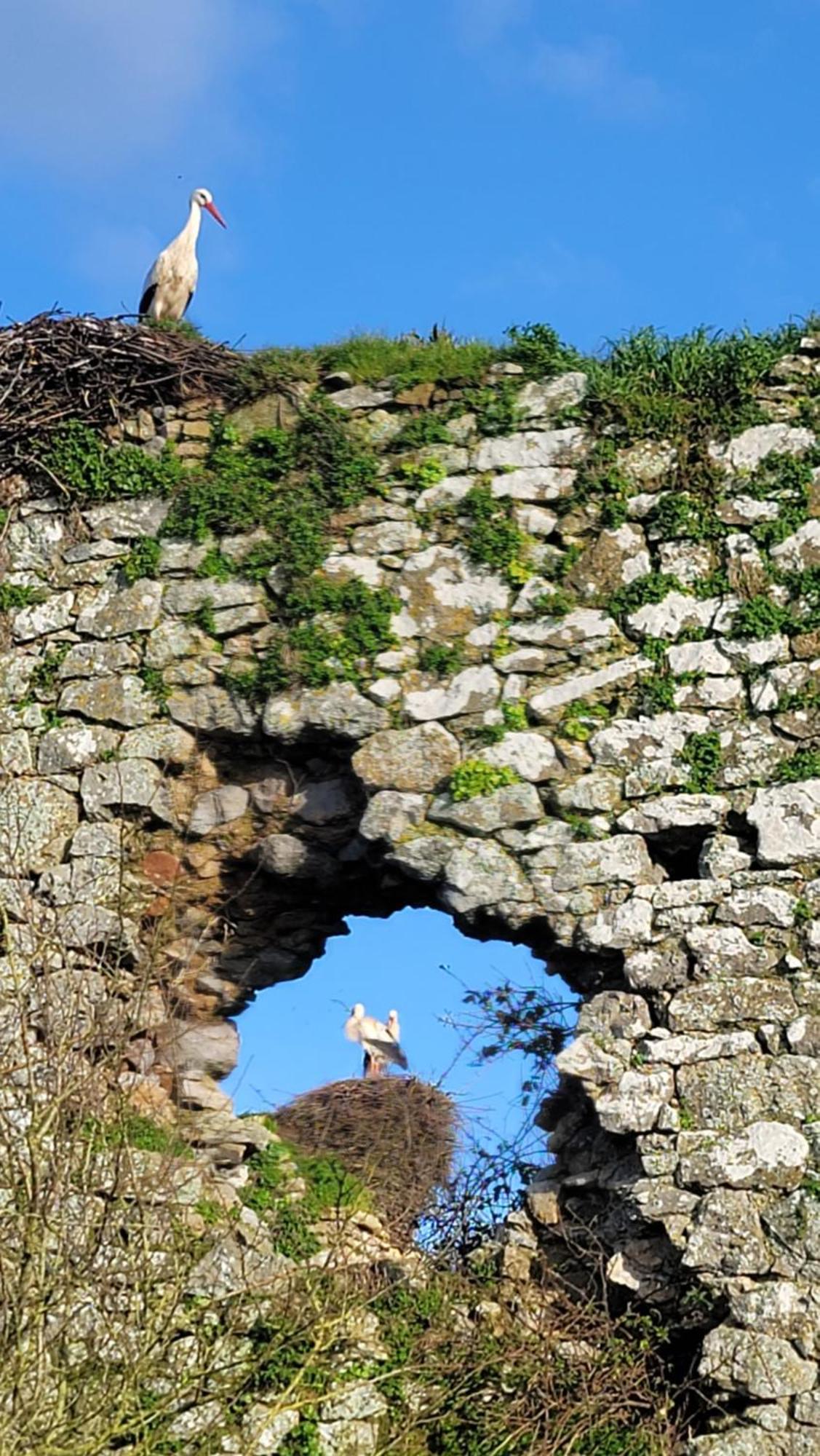 Gite Au Coeur Du Dday Brevands Extérieur photo